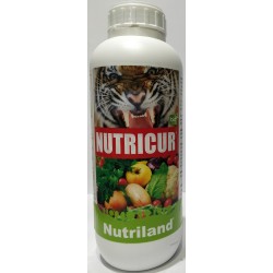 NUTRICUR 1LT
