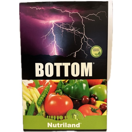BOTTOM 1KG