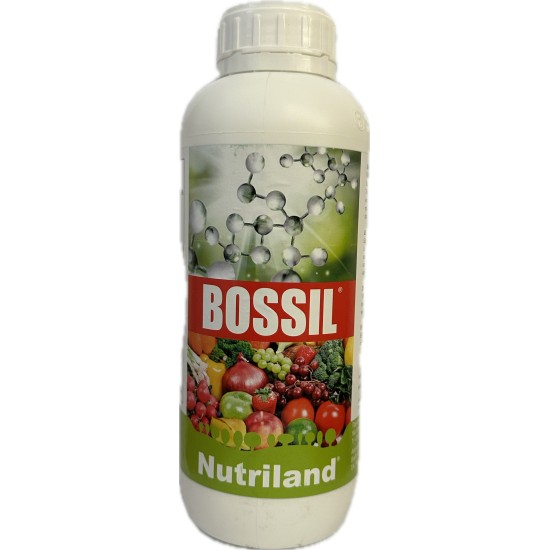BOSSIL 1LT