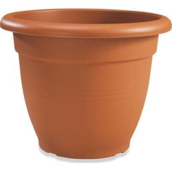 ΓΛΑΣΤΡΑ Νο4 32Χ24cm VIOSARP