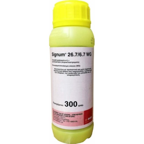 SIGNUM 26.7/6.7WG 300gr