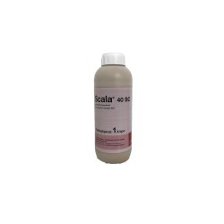 SCALA 40SC 300ml