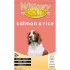 ΞΗΡΑ ΤΡΟΦΗ WILLOWY GOLD SALMON & RICE 10KG