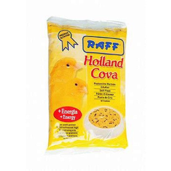 ΑΥΓΟΤΡΟΦΗ RAFF ΚΙΤΡΙΝΗ 100gr