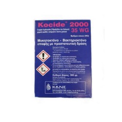 KOCIDE 2000WG 750gr