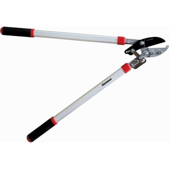 ΨΑΛΙΔΙ ΚΛΑΔΟΥ 75 cm ΜΕ ΚΑΣΤΑΝΙΑ BENMAN 77001