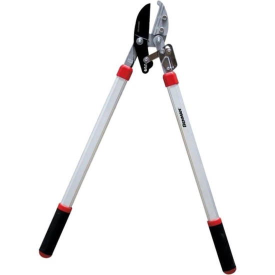 ΨΑΛΙΔΙ ΚΛΑΔΟΥ 75 cm ΜΕ ΚΑΣΤΑΝΙΑ BENMAN 77001