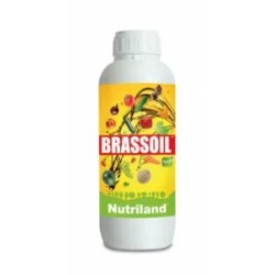 BRASSOIL 5LT