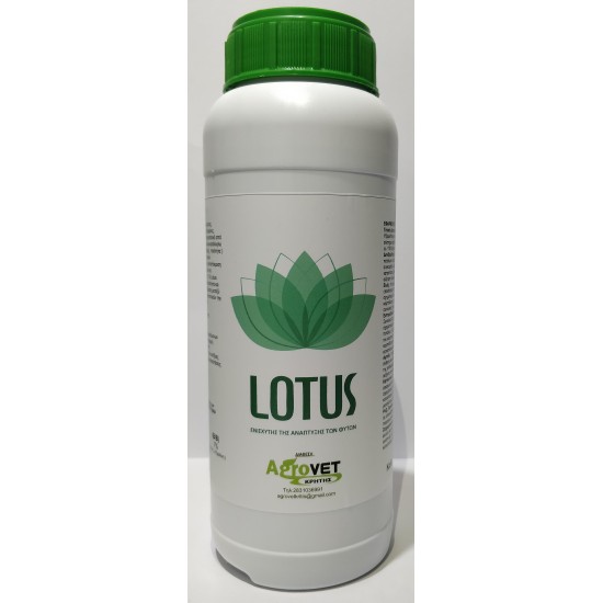 LOTUS 1LT
