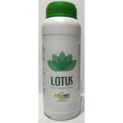 LOTUS 500ml