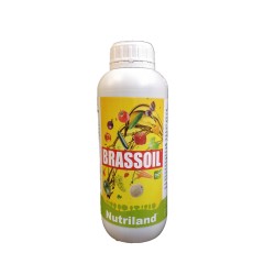 BRASSOIL 1LT