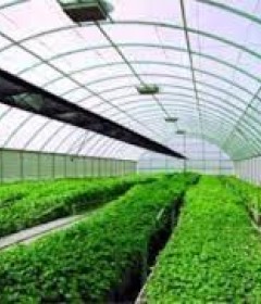 ΘΕΡΜΟΚΗΠΙΑΚΟΣ