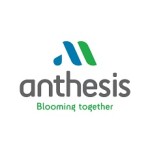 ANTHESIS